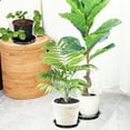 thumbnail image 3 of 16 Pcs Pp Planter Tray Drainage Trays for Plants Flower Pot Household Drip Faceplate, 3 of 6