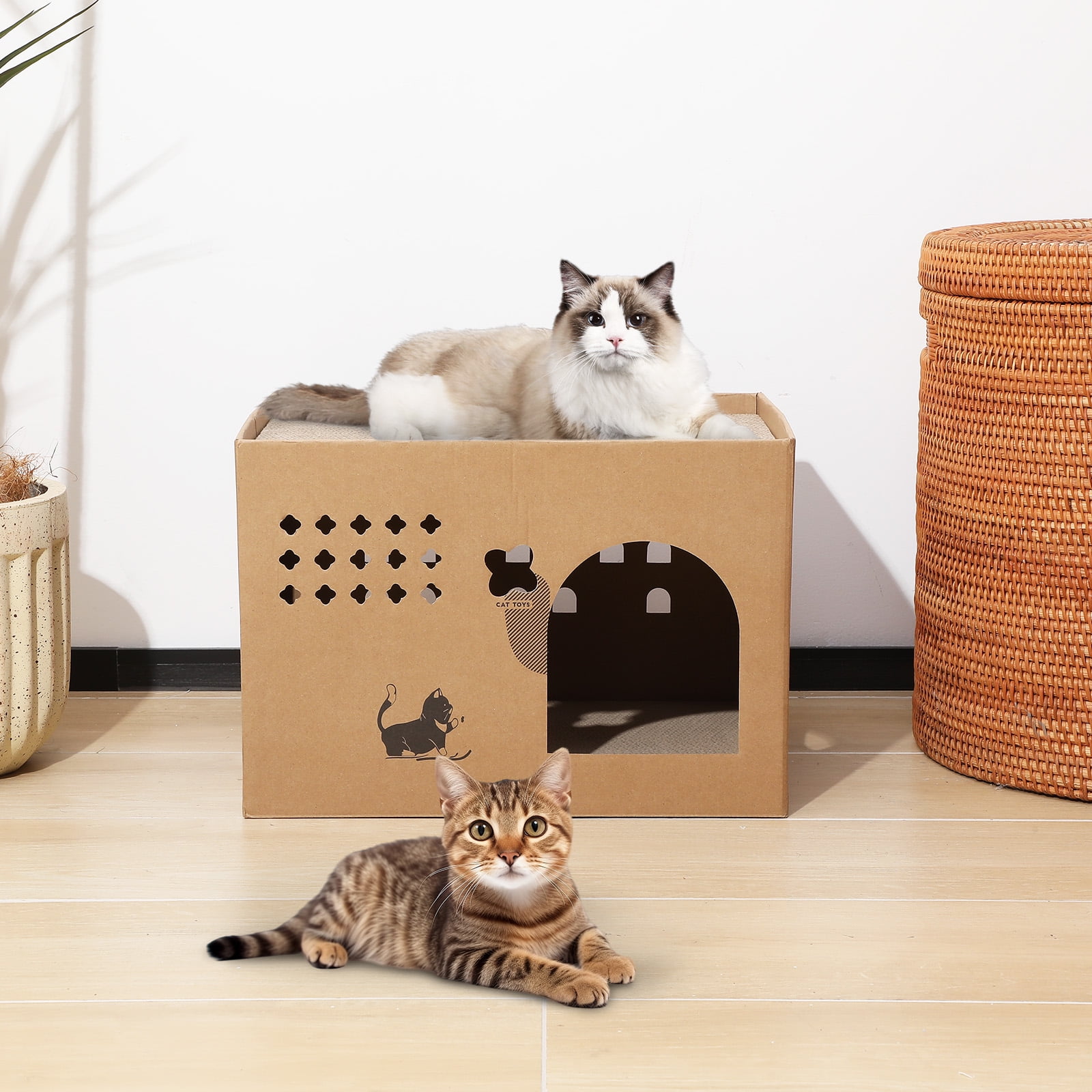 House Diy Cat Houses Made Out Of Cardboard Boxes Pineapple Cat