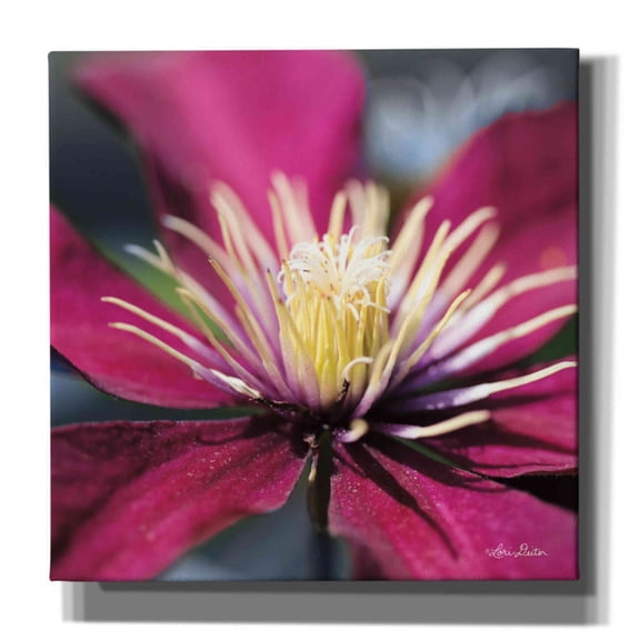Epic Graffiti 'Floral Pop II' by Lori Deiter, Canvas Wall Art, 12"x12"