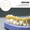 thumbnail image 2 of EeaseMX 2 cajas de carillas dentales, empastes dentales artificiales de plástico, suministros para reparación dental, 2 of 8