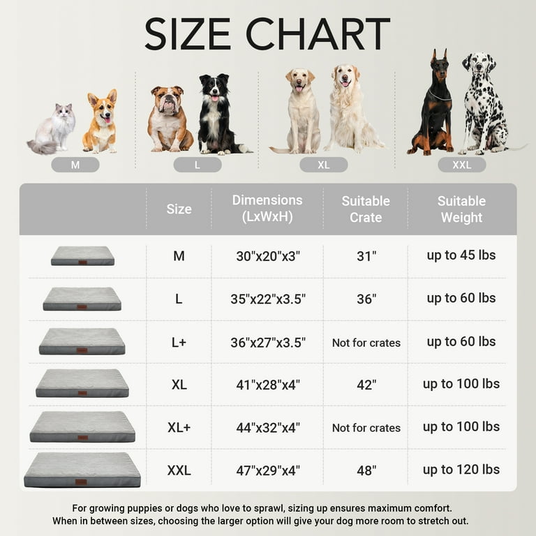 Ophanie 35in Gray Orthopedic Dog Bed for Large Dogs with Egg Crate