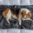 thumbnail image 6 of vnanda Double-sided Pet Blanket Pet Blanket Waterproof Durable Bed Mat for Dogs Cats Ultra-soft Comfortable Double-sided All-season Pet Supplies, 6 of 8