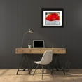 thumbnail image 3 of Baker, Micha 24x20 Black Ornate Wood Framed with Double Matting Museum Art Print Titled - Poppy Story II, 3 of 4