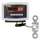 Optima Scales OP-926-1000 Balance Suspendue - 1000 lbs x 0.2 lb – image 1 sur 1