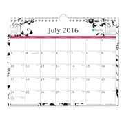 Blue Sky Analeis/Enterprise 11x8.75 Wall Calendar, July 2016-June 2017