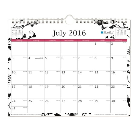Blue Sky Analeis/Enterprise 11x8.75 Wall Calendar, July 2016-June 2017
