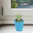 thumbnail image 4 of Shisuyan 5pcs Small Metal Planter Flower Pot Plant Bucket Balcony Garden Patios Office Desktop Planting Pot, 4 of 8