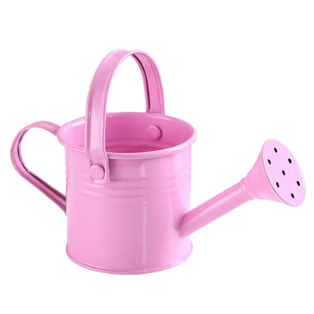 mini Plant Spray Gardening Water Pot Shower Sprinkle Wrought Iron Metal