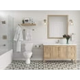 thumbnail image 4 of Pfister Bph-Bs1 Bronson Wall Mounted Pivoting Toilet Paper Holder - Nickel, 4 of 4