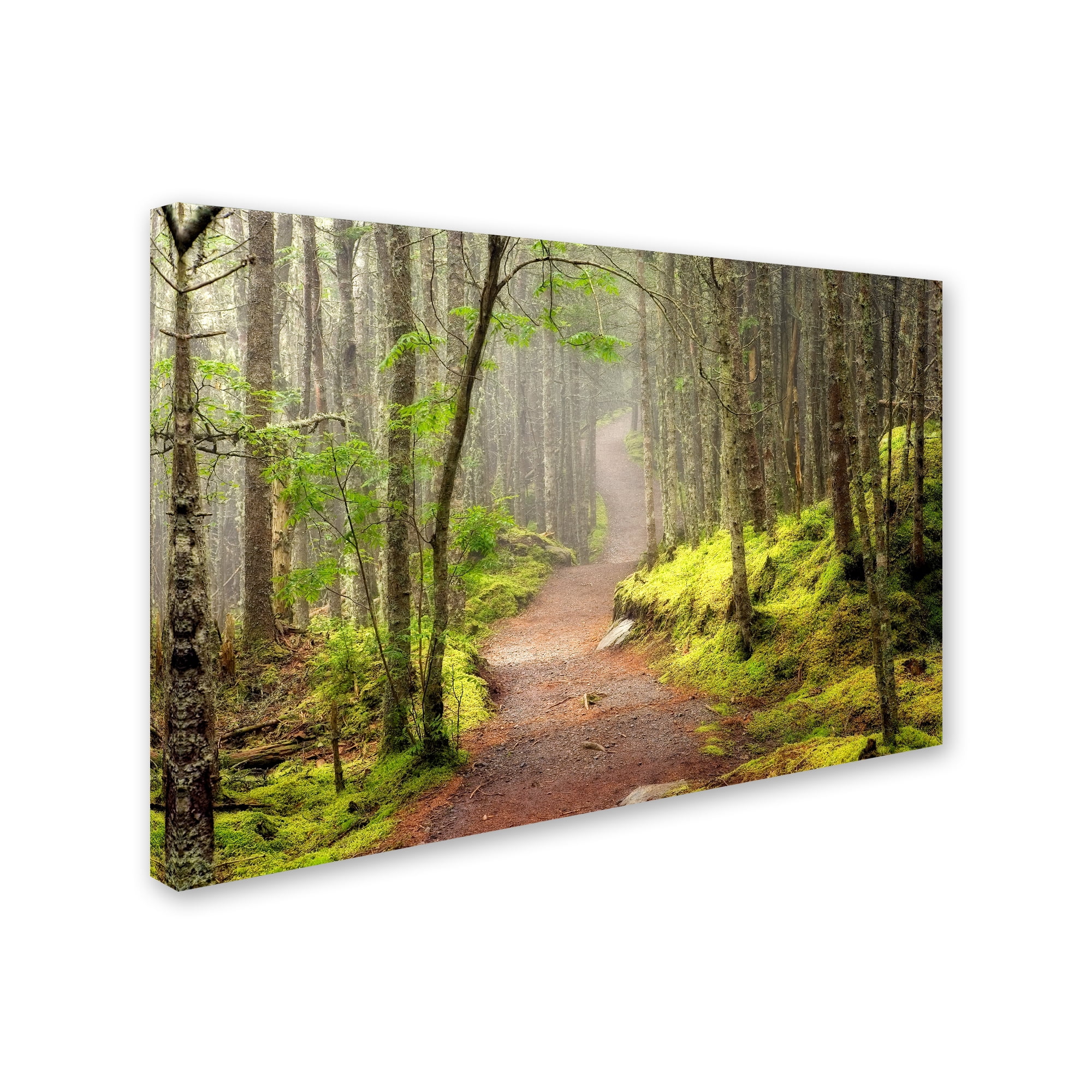 Trademark Fine Art 'Lubec Path' Canvas Art by Mike Jones Photo