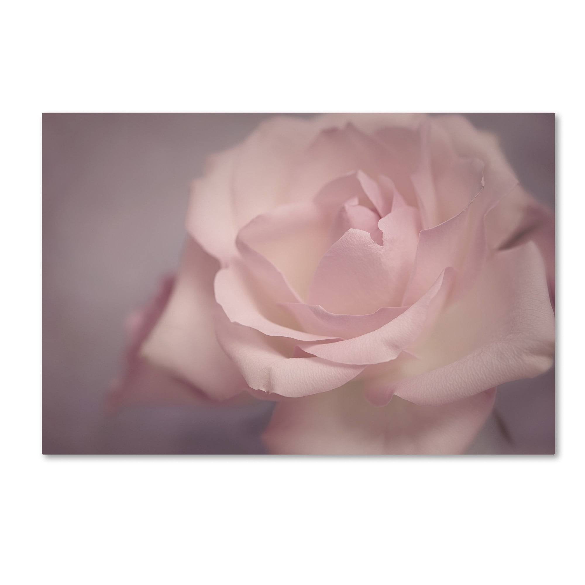 Trademark Fine Art 'Tenderness' Canvas Art by Cora Niele