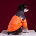 thumbnail image 5 of Chaqueta de plumón gruesa y resistente al frío para perros grandes y pequeños de invierno con ositos de peluche Schanery, 5 of 5