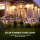 thumbnail image 4 of Paquete de 2 luces de estacas solares con forma de mariposa, luces LED solares para paisajes, luces Tomshoo Luces led, 4 of 7