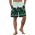 thumbnail image 5 of NOMADIC NOOK Men's Color Block Tropical Trees Printed Striped Beach Shorts 2 Pack, 5 of 5
