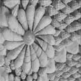 thumbnail image 1 of Ahgly Company Indoor Square Patterned Carbon Gray Novelty Area Rugs, 5' Square, 1 of 6