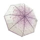 thumbnail image 4 of Paraguas de burbuja transparente, ligero, romántico, de mango largo, compacto, plegable para mujer Violeta, 4 of 9