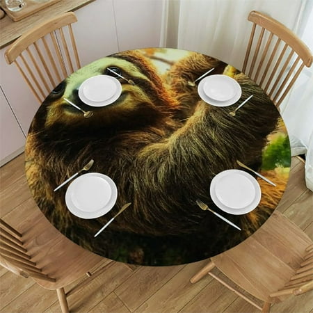 

Sheronv Sloth Tree Branch Forest Round Table Cover Stain Resistant Washable 100% Polyester Waterproof for Indoor Outdoor Kitchen Dining Wedding Parties Decor 42 -46
