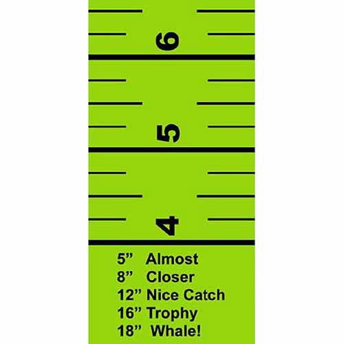 Duct Tape, 2" x 10yds