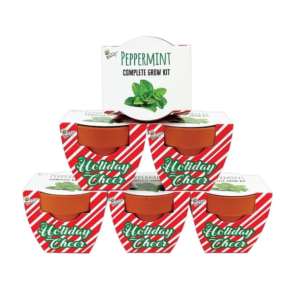 Buzzy Seeds Holiday Peppermint Mini Grow Pot Seed Starter Gardening Kit 6pk