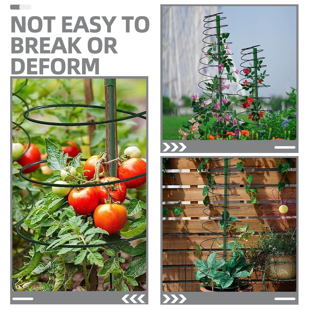 2 Sets Plant Support Potted Trellis Plants Tomato Vine Indoor Holder Garden for Climbing Metal