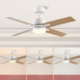 thumbnail image 5 of Bright Corners Modern Ceiling Fan with Light and Remote Control for Living Room 4 Blades (Set of 2), 5 of 6