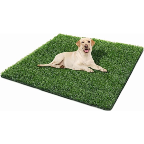 Grass Pad,51.2x31.5In  Grass for Dogs,Artificial Grass Pee Pad for Puppies Potty  Indoor Outdoor