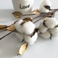 thumbnail image 1 of HEALEEP Dried Flowers Cotton 1Pack Multi Rustic Farmhouse Style Cotton Branches Friends Event, 1 of 4