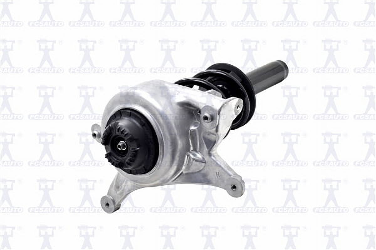 Suspension Strut and Coil Spring Assembly