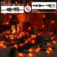 thumbnail image 4 of Guirnalda de luces ODEETRONIC 10 metros 50 LED Naranja C9 120V Impermeable, 4 of 7