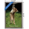 thumbnail image 3 of Famous Kitten Hang In There Poster Wall Poster, 14.725" x 22.375", Framed, 3 of 5
