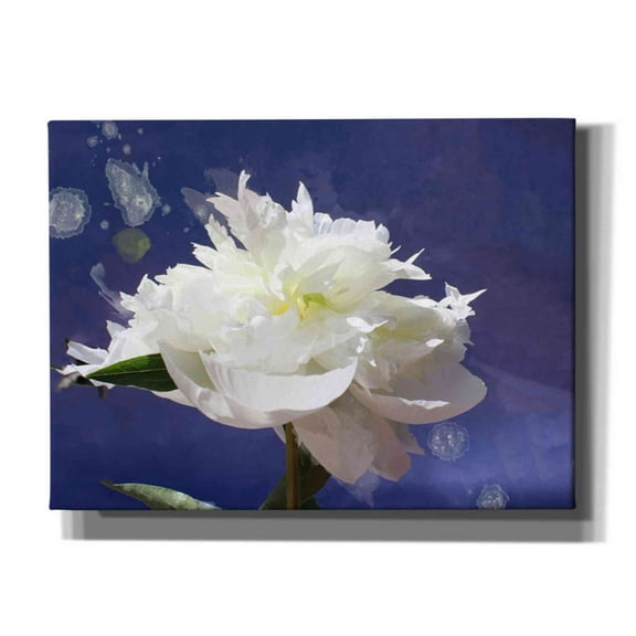 Epic Graffiti 'White Peony-Scents of Heaven' by Irena Orlov, Canvas Wall Art, 54"x40"