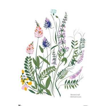 Botanical Collection - Wild Flowers Wall Poster, 22.375" x 34"