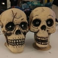 thumbnail image 5 of Plastic Halloween Skulls, 6x4.25 Inches Realistic Looking Skull for DIY Arts Material Decorative Supplies Party Graveyard Display  Table Centerpieces Wreath Haunted House Craft Decorations Pack of 2, 5 of 7