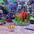 thumbnail image 3 of Miangastore Modèle de Roue d'Eau pour Décoration d'Aquarium Paysage Maison en Pierre Poisson Rouge, 3 of 9