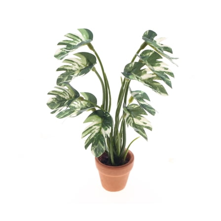 Miniature White Variegated Monstera Plastic Decoration For Dollhouses Interior Design