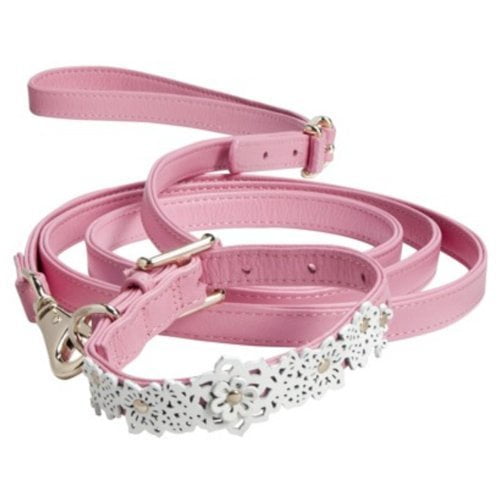 pink leash and collar
