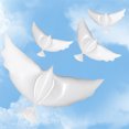 thumbnail image 4 of La Paix Colombe Ballons, 10pcs la Paix Colombe Ballons Ballons Pigeon Volants Grande Colombe Ballons Conception Révolutionnaire, 4 of 8