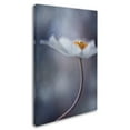thumbnail image 2 of Trademark Fine Art 'The Beauty Within' Canvas Art by Priska Wettstein, 2 of 3