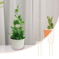 thumbnail image 4 of Homerr Basin Stand Plant Support Stand Plant Climbing Stand - Heavy-Duty, Anti-Rust, for Outdoor and Indoor Plants, 4 of 11