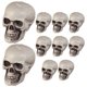 thumbnail image 1 of 10pcs Halloween Plastic Skull Head Miniature Figurine Skull Head Model Horror Skull Head Miniature, 1 of 4