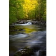 thumbnail image 2 of Wells, Joanne 13x18 Gold Ornate Wood Framed with Double Matting Museum Art Print Titled - Tennessee Great Smoky Mountains National Park-Little River, 2 of 4