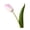 Pink & Green, variant on bestolf 14" Fake Tulip Flowers Real Touch Long Stem Artificial Tulip Flower for Spring Easter Home Kitchen Wedding Bouquet Gifts (Purple)