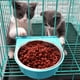 thumbnail image 2 of Cuenco para perro, cuencos extraíbles de acero inoxidable para agua y alimentos, jaula para gallinero, taza para gatos, cachorros, pájaros y mascotas, 2 of 6