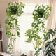 thumbnail image 3 of 3 plantas colgantes artificiales con macetas, enredaderas colgantes artificiales, plantas colgantes en macetas verdes, 3 of 8
