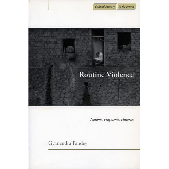 Cultural Memory in the Present: Routine Violence : Nations, Fragments, Histories (Hardcover)