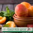 thumbnail image 5 of Pure Anatolia Organic Sun-Dried Apricot, 100% Turkish, 5oz Pouch, 5 of 7