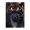 500 Pieces, variant on 500-Piece Wooden Jigsaw Puzzle for Adults - Tiger Snarl Face Fangs Predator , Fun & Relaxing Family Game, No-Dust Interlocking Pieces, Perfect Wall Decor & Holiday Gift