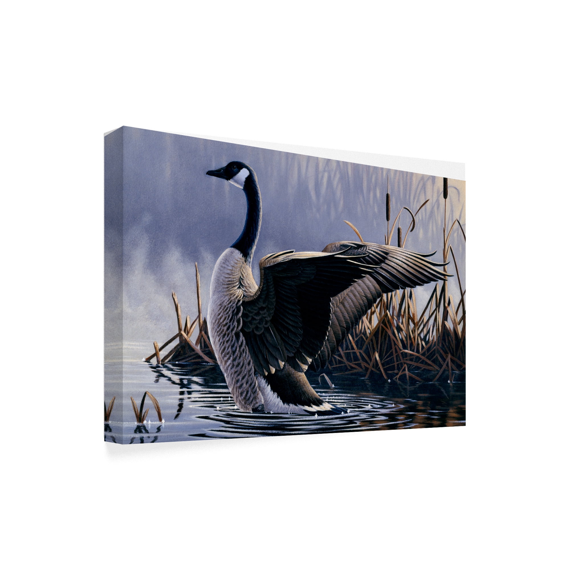 Trademark Fine Art '1992 Canada Goose' Canvas Art by Wilhelm Goebel