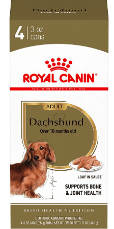 royal canin dry dog food dachshund formula