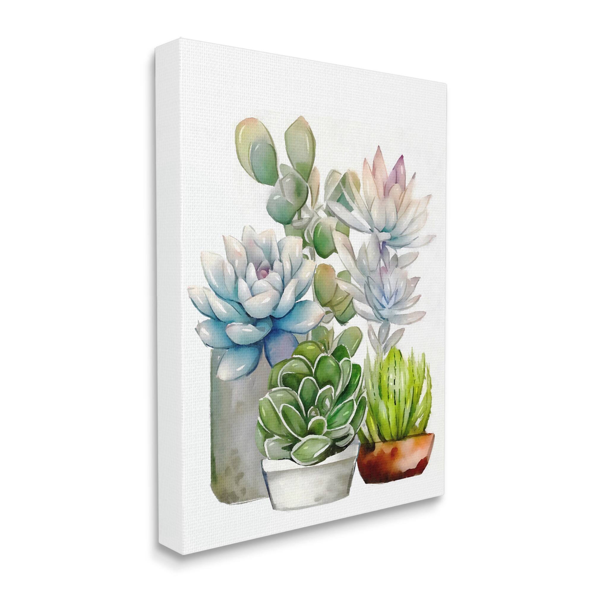 Stupell Industries Mixed Potted Succulent Garden Botanical & Floral Painting Gallery Wrapped Canvas Print Wall Art